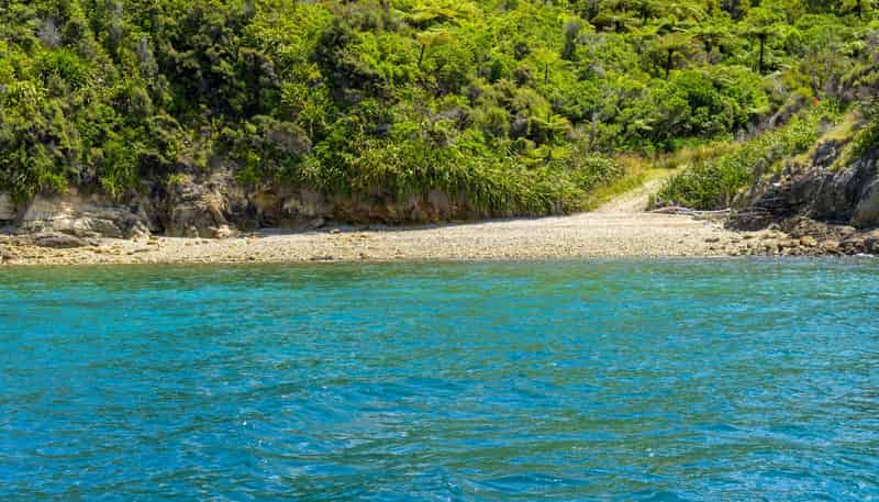 Pipitea Sections, Waiona Bay