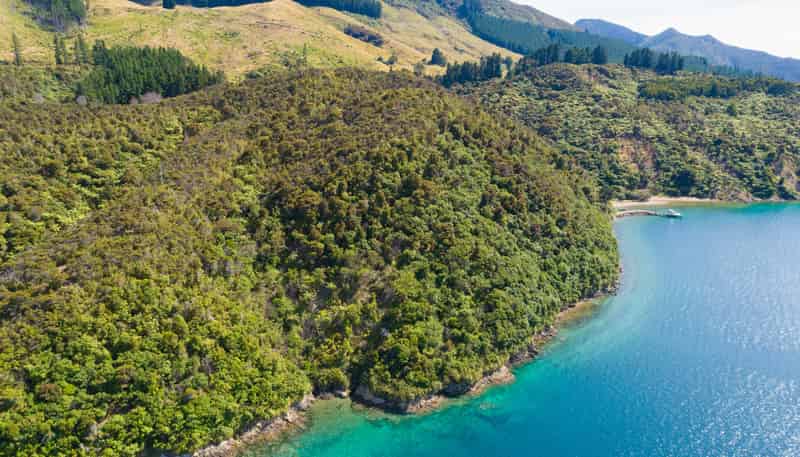  Pipitea Sections, Waiona Bay