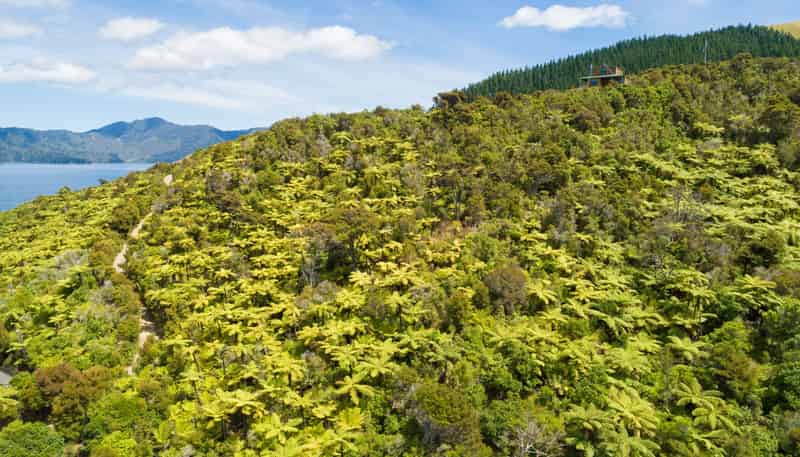  Pipitea Sections, Waiona Bay