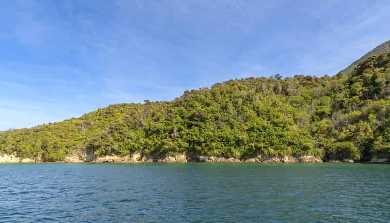  Pipitea Sections, Waiona Bay