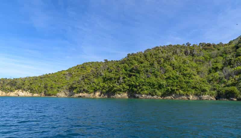  Pipitea Sections, Waiona Bay