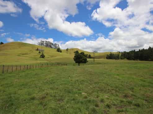  State Highway 1, Kaitaia