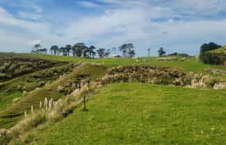 240 Pinaki  Road, Te Kopuru