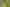 37A Salmond Street, Halfway Bush