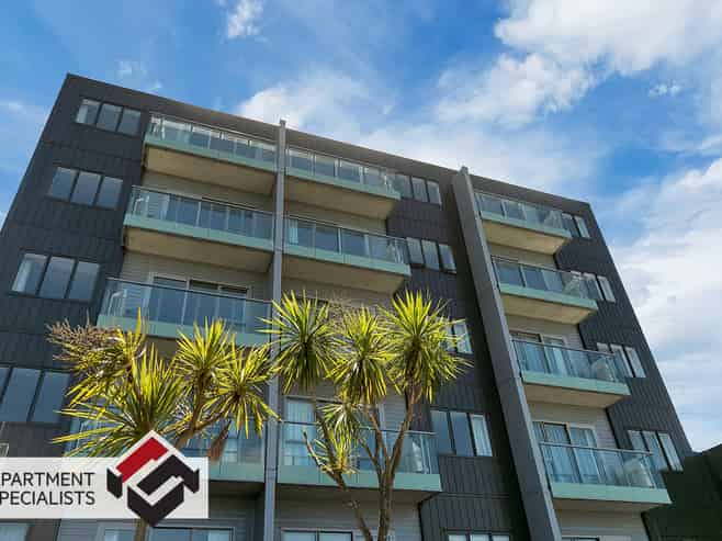 6 Winchester Street, Grey Lynn