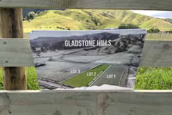 167 Gladstone Road, Levin