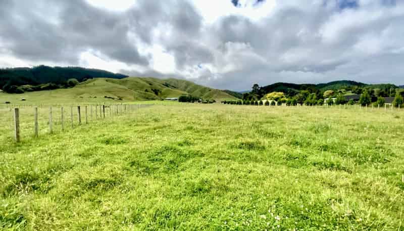 169 Gladstone Road, Levin