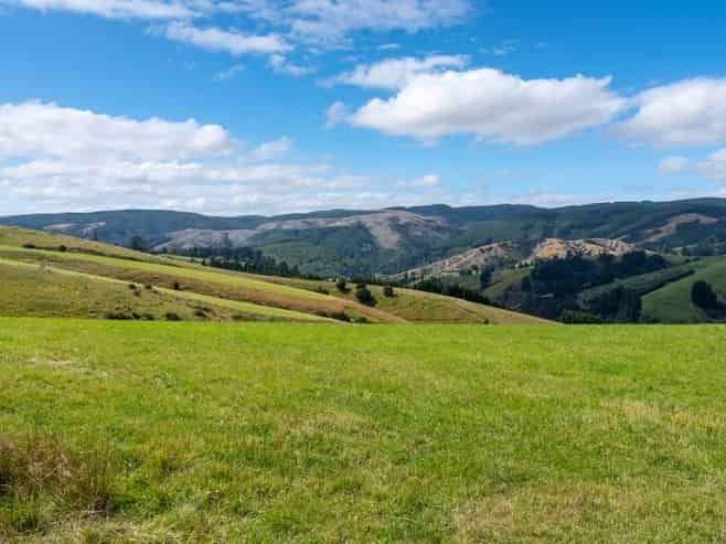 00 Blue Spur Road, Gabriels Gully Estate, Lawrence