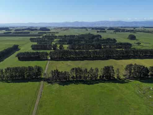 265 Paranui Road, Foxton