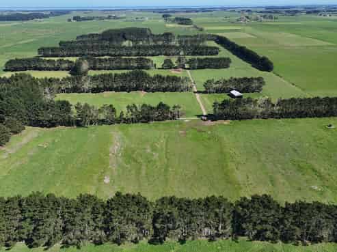 265 Paranui Road, Foxton