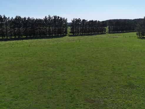 265 Paranui Road, Foxton