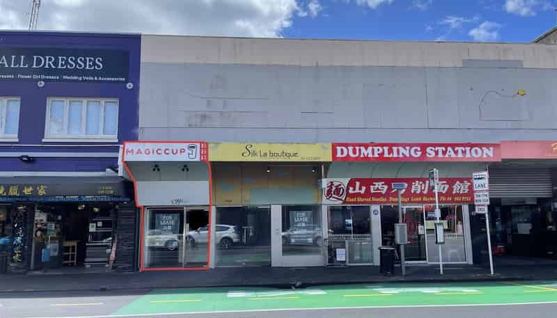 442A Khyber Pass Road, Newmarket