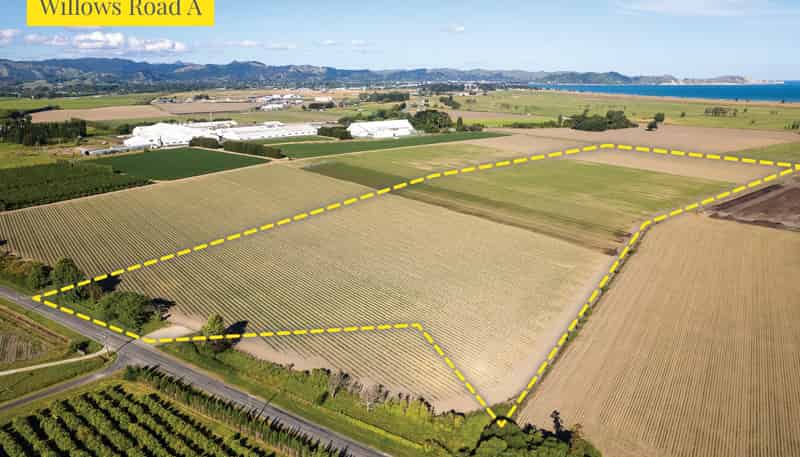  Willows Road, Matawhero