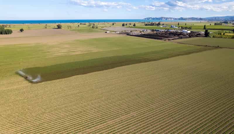  Willows Road, Matawhero