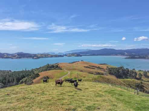 1296 Manaia Road, Coromandel