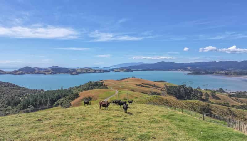 1296 Manaia Road, Coromandel