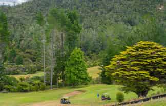 49 Azimuth Road, Tairua