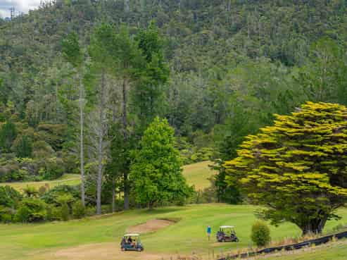 Lot 15/297d Main Road, Tairua