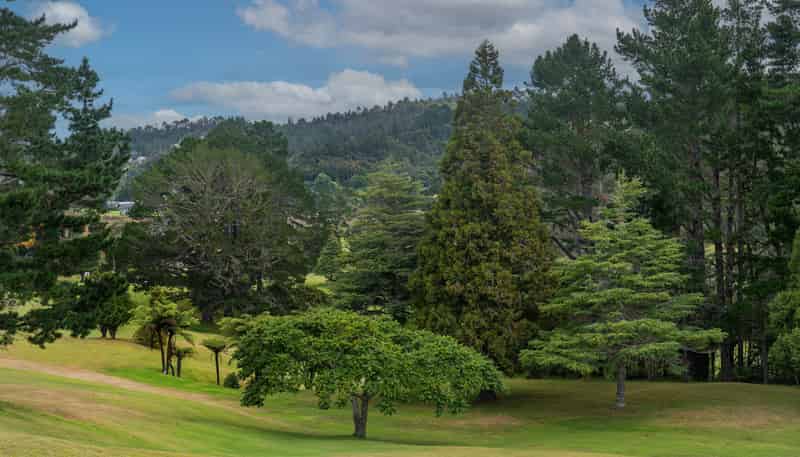 Lot 15/297d Main Road, Tairua