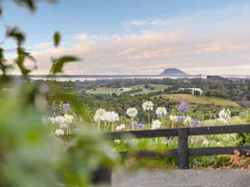 286 Youngson Road, Whakamarama