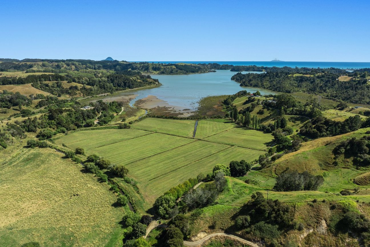 PRICED TO SELL – pohled 2