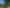 621 Wainui Road, Whakatane Surrounds