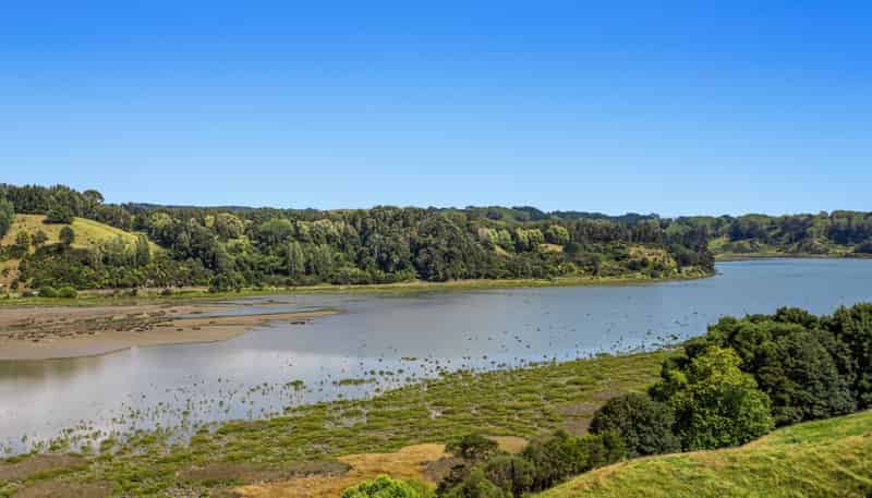621 Wainui Road, Whakatane Surrounds