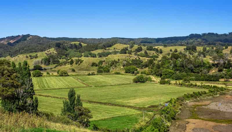 621 Wainui Road, Whakatane Surrounds
