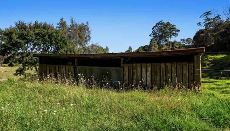 621 Wainui Road, Whakatane Surrounds
