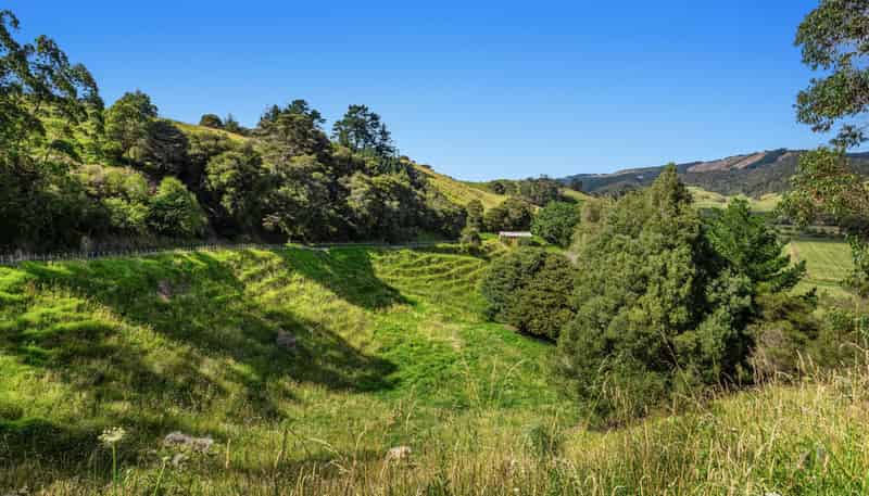 621 Wainui Road, Whakatane Surrounds