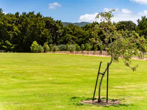 Lots 1&2/26 Bush Lane, Mangawhai