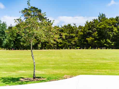 Lots 1&2/26 Bush Lane, Mangawhai