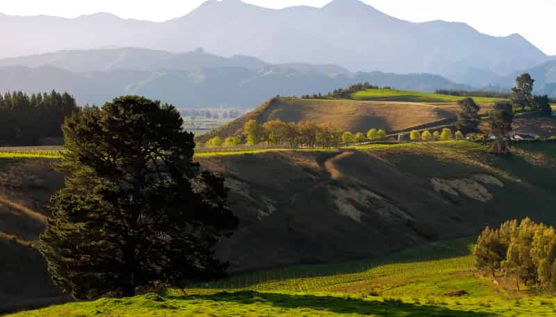 373 Delta Lake Heights, Renwick