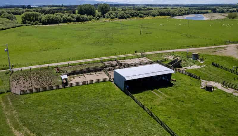 253 Oringi Road, Dannevirke