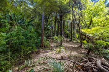 54 Glen Brook Road, Omiha