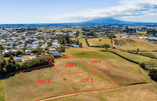 0n Douglas Street Sections, Hawera