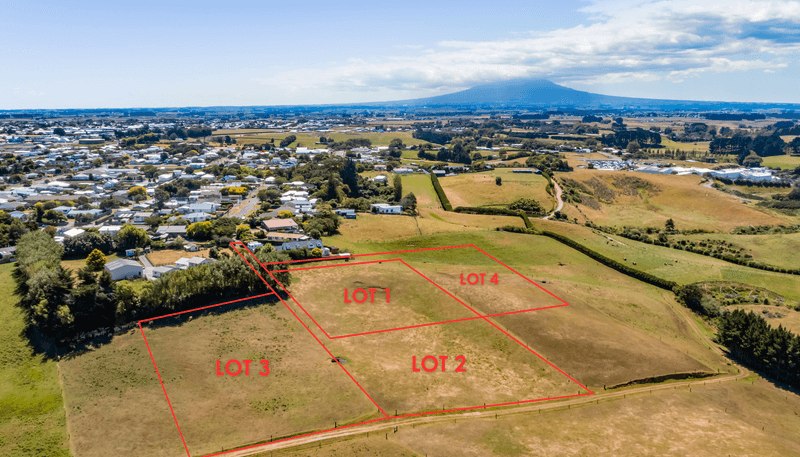 0n Douglas Street Sections, Hawera