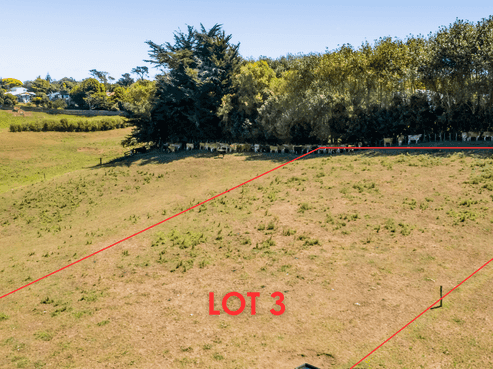 0n Douglas Street Sections, Hawera