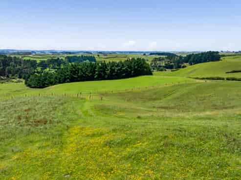 0n Douglas Street Sections, Hawera