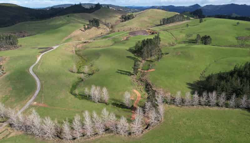  Glendale Heights, Kerikeri
