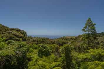 595 Boat Harbour Road, Whenuakite