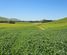 28 Range Road, Gore Surrounds, Gore, Southland