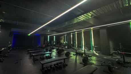  5 Dundonald Street, Eden Terrace