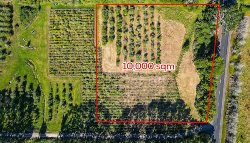 162 Trigg Road, Huapai