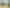 85 A,B,C,D Penney Avenue, Mount Roskill
