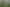 Coromandel - Address withheld