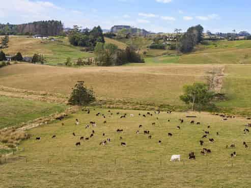 206 Ireland Road, Waitoki