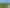 Kiwifruit - a growing opportunity