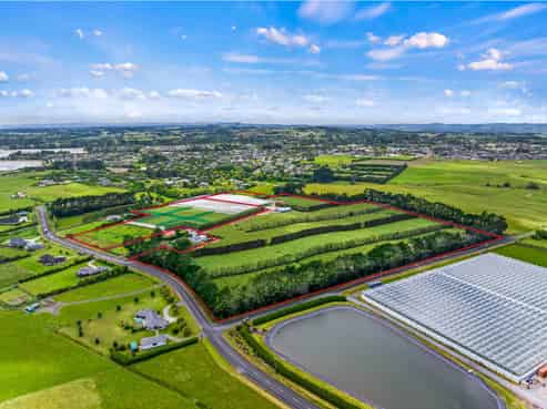 Kiwifruit - a growing opportunity