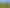 Kiwifruit - a growing opportunity